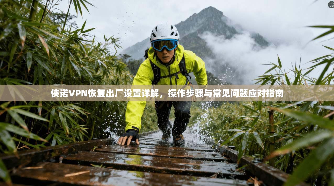 侠诺VPN恢复出厂设置详解，操作步骤与常见问题应对指南