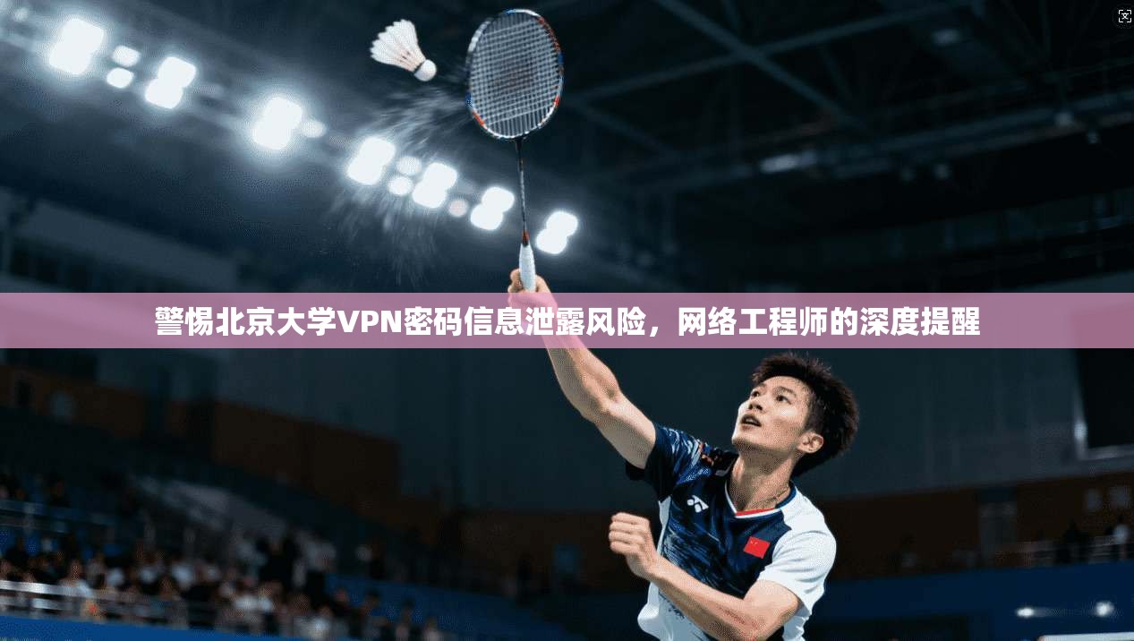 警惕北京大学VPN密码信息泄露风险，网络工程师的深度提醒