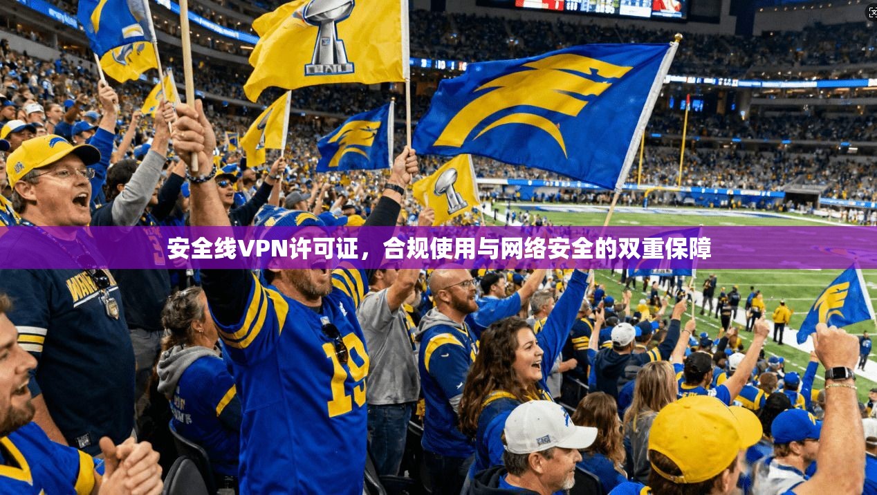 安全线VPN许可证，合规使用与网络安全的双重保障
