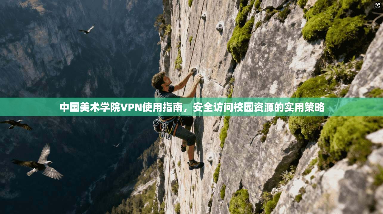 中国美术学院VPN使用指南，安全访问校园资源的实用策略