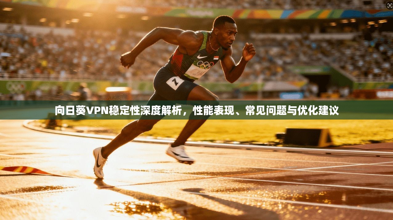 向日葵VPN稳定性深度解析，性能表现、常见问题与优化建议