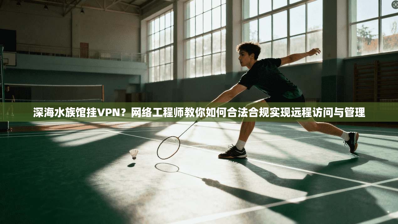 深海水族馆挂VPN？网络工程师教你如何合法合规实现远程访问与管理
