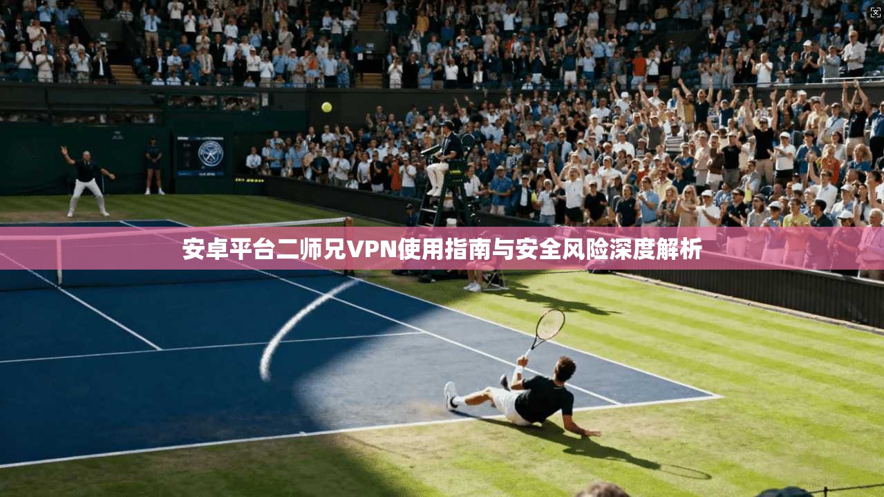 安卓平台二师兄VPN使用指南与安全风险深度解析