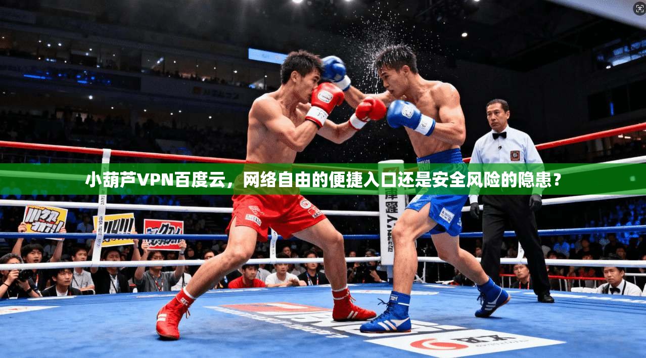 小葫芦VPN百度云，网络自由的便捷入口还是安全风险的隐患？
