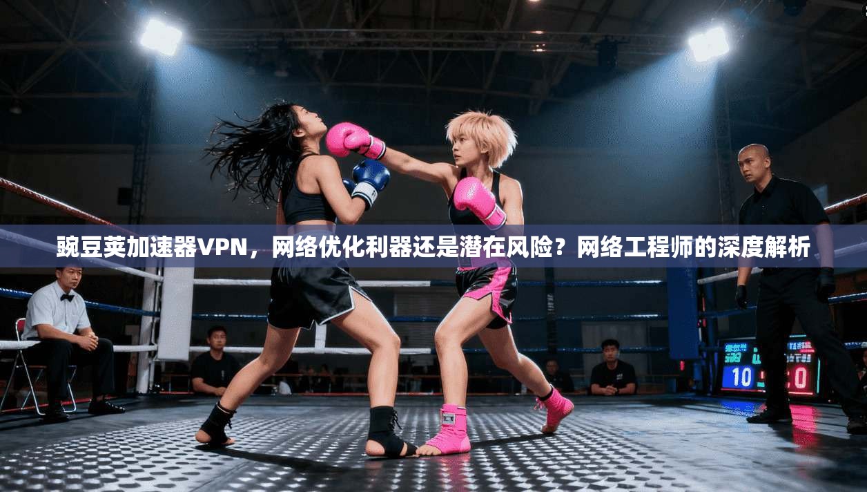 豌豆荚加速器VPN，网络优化利器还是潜在风险？网络工程师的深度解析