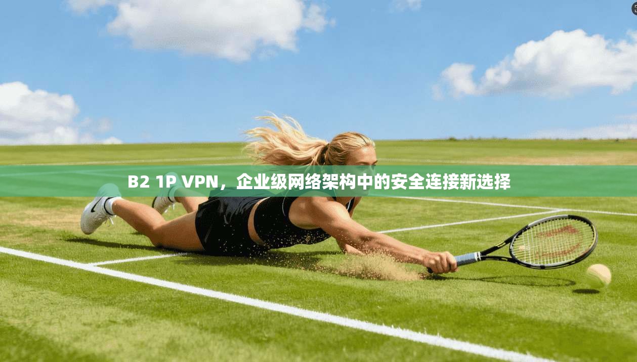 B2 1P VPN，企业级网络架构中的安全连接新选择