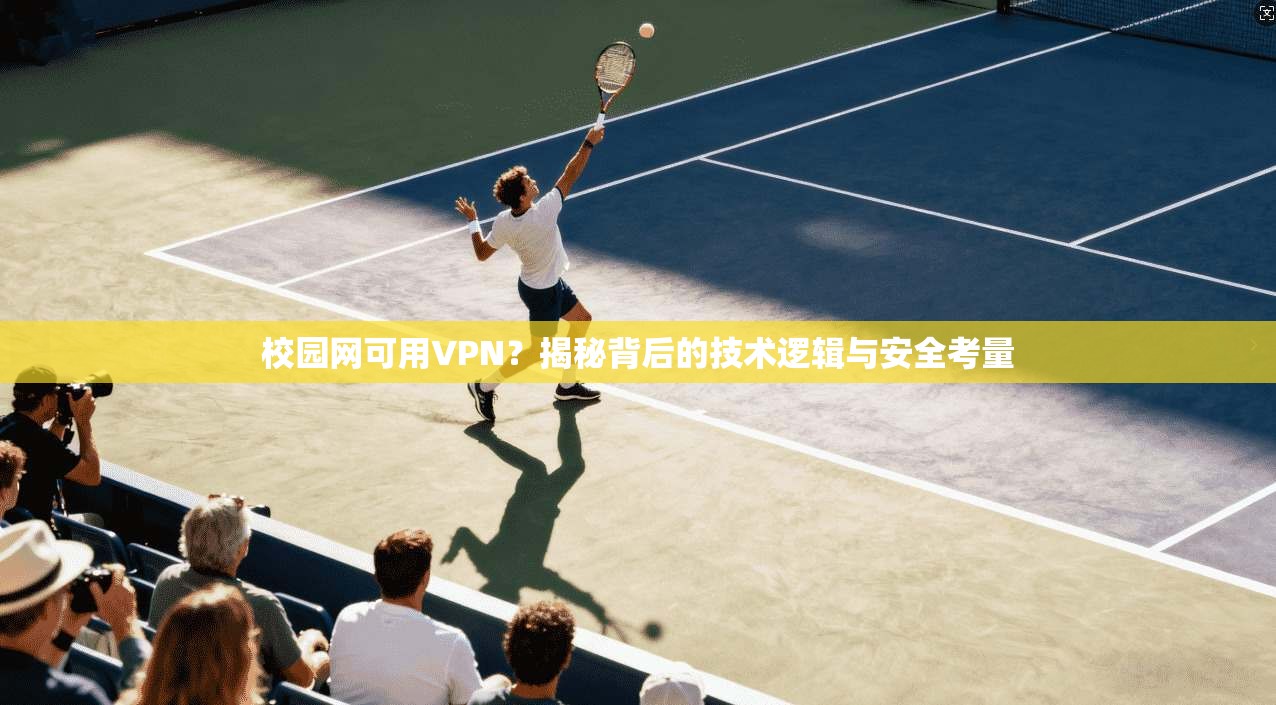 校园网可用VPN？揭秘背后的技术逻辑与安全考量