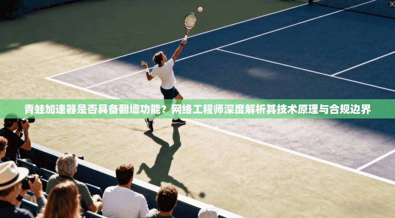 青蛙加速器是否具备翻墙功能？网络工程师深度解析其技术原理与合规边界