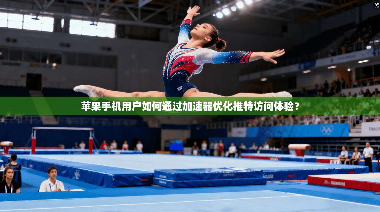 苹果手机用户如何通过加速器优化推特访问体验？