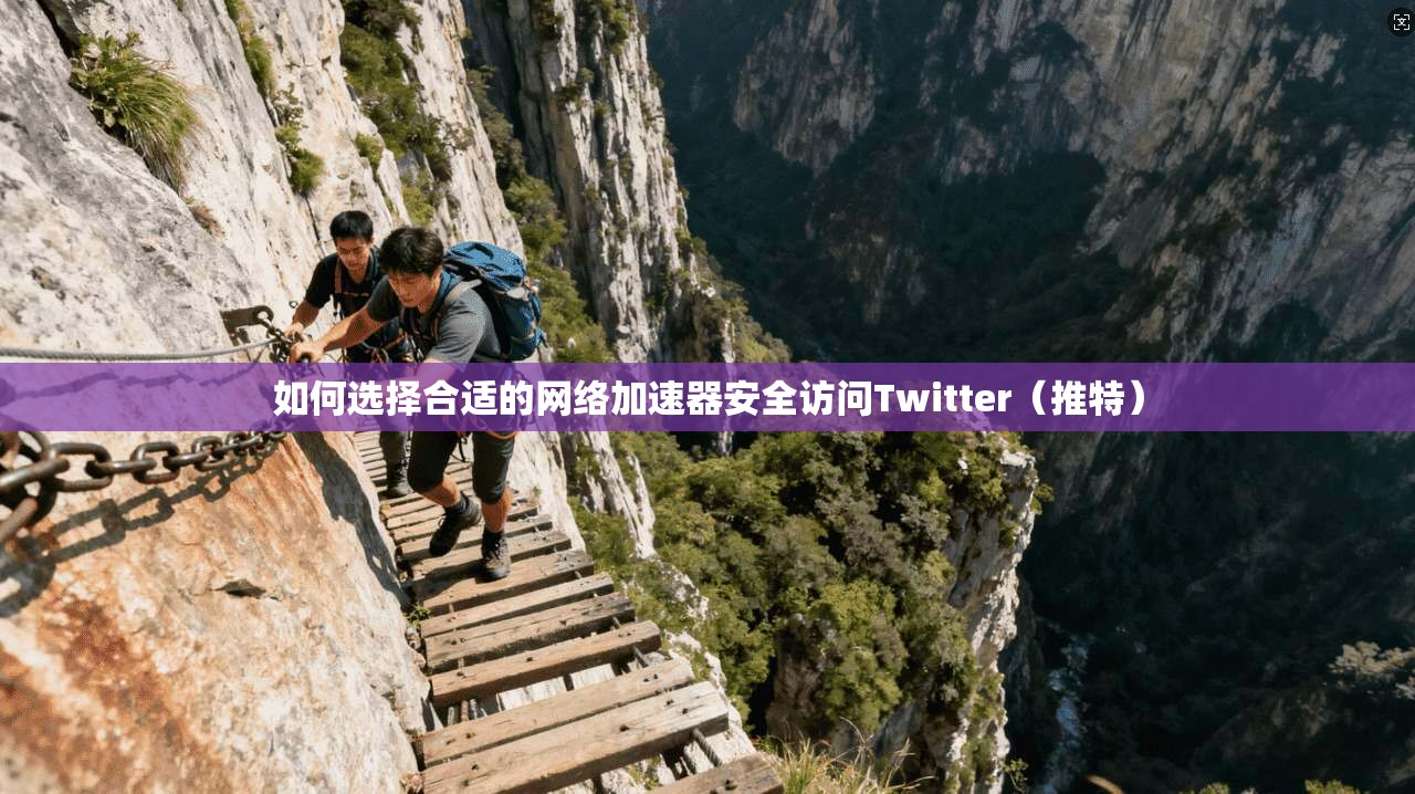 如何选择合适的网络加速器安全访问Twitter（推特）