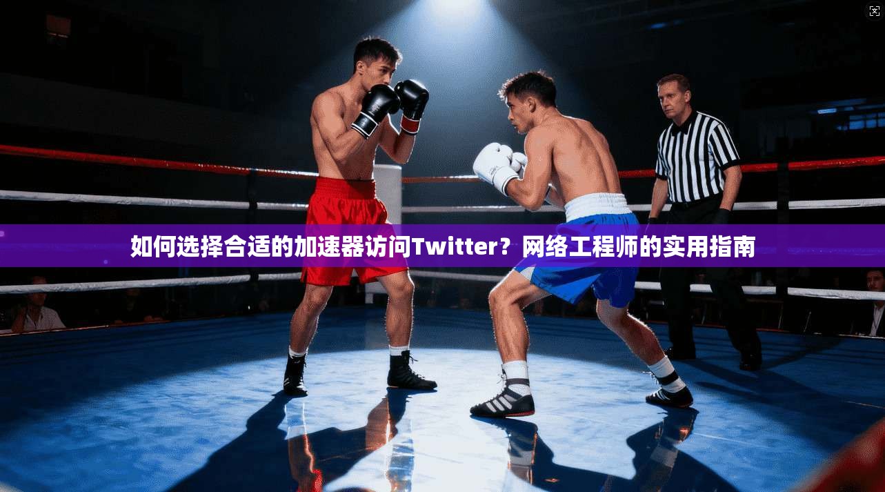 如何选择合适的加速器访问Twitter？网络工程师的实用指南