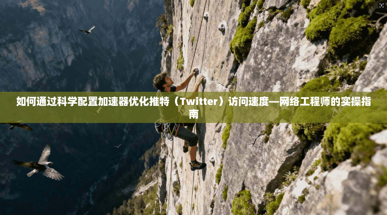 如何通过科学配置加速器优化推特（Twitter）访问速度—网络工程师的实操指南