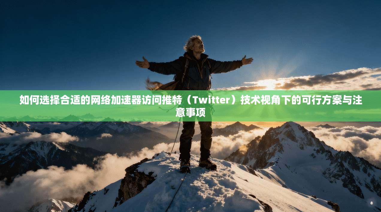 如何选择合适的网络加速器访问推特（Twitter）技术视角下的可行方案与注意事项