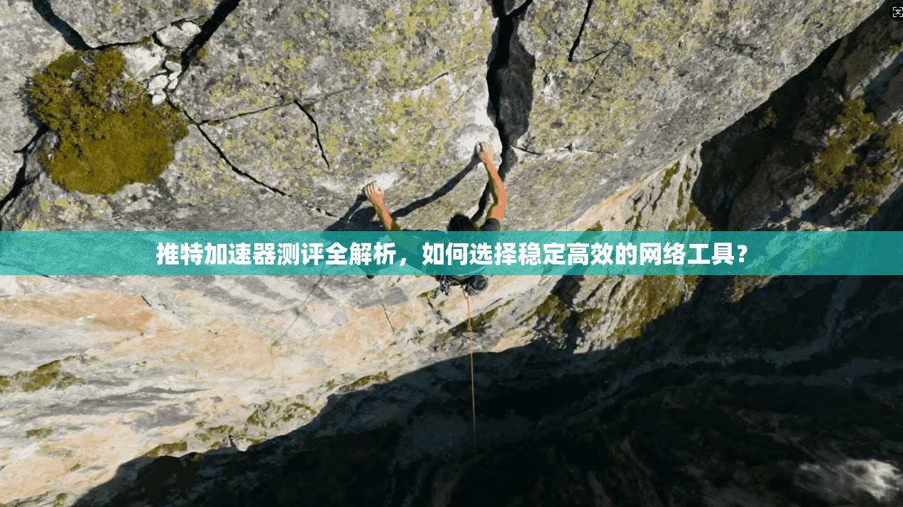 推特加速器测评全解析，如何选择稳定高效的网络工具？