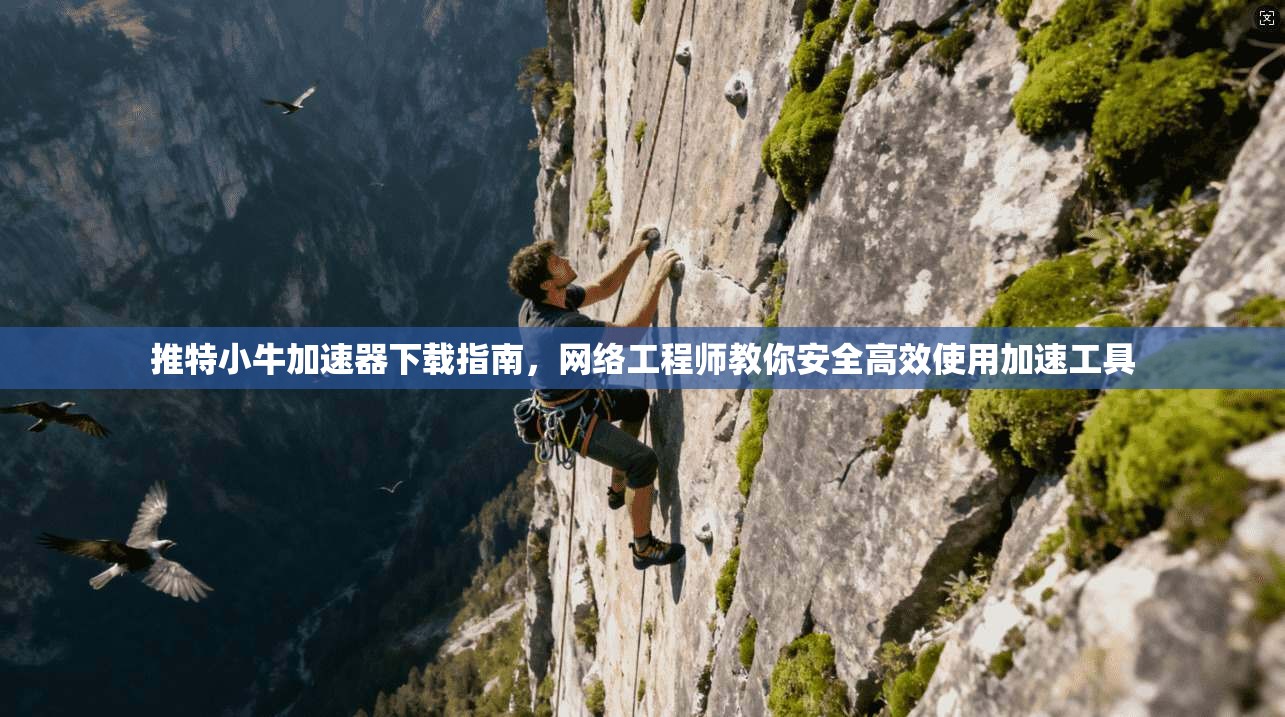 推特小牛加速器下载指南，网络工程师教你安全高效使用加速工具