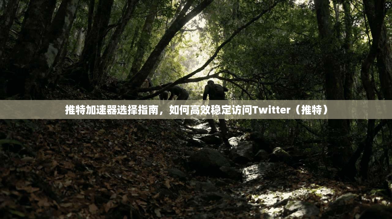 推特加速器选择指南，如何高效稳定访问Twitter（推特）