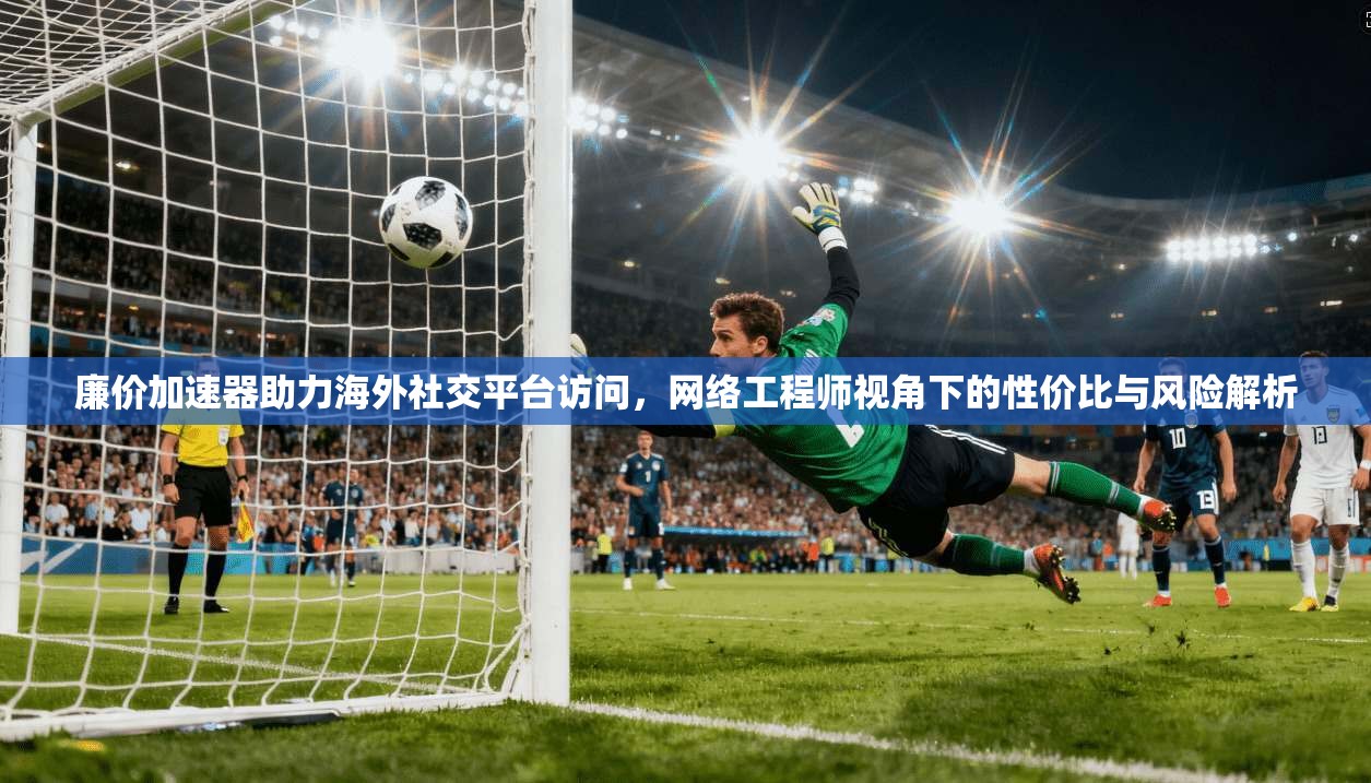 廉价加速器助力海外社交平台访问，网络工程师视角下的性价比与风险解析