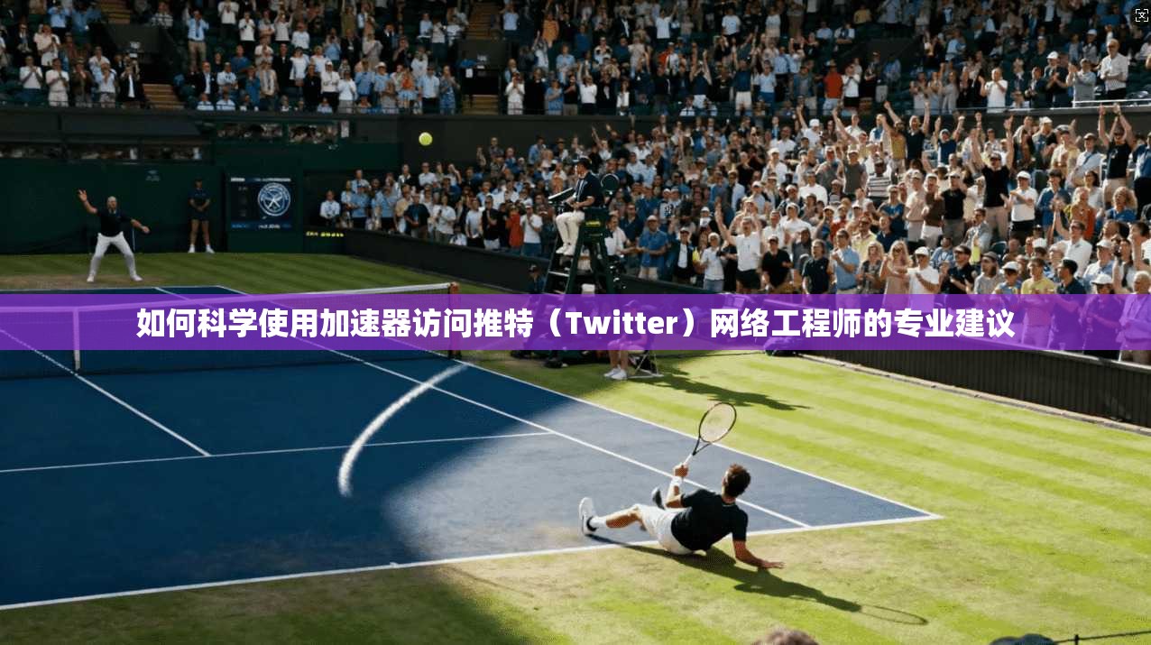 如何科学使用加速器访问推特（Twitter）网络工程师的专业建议