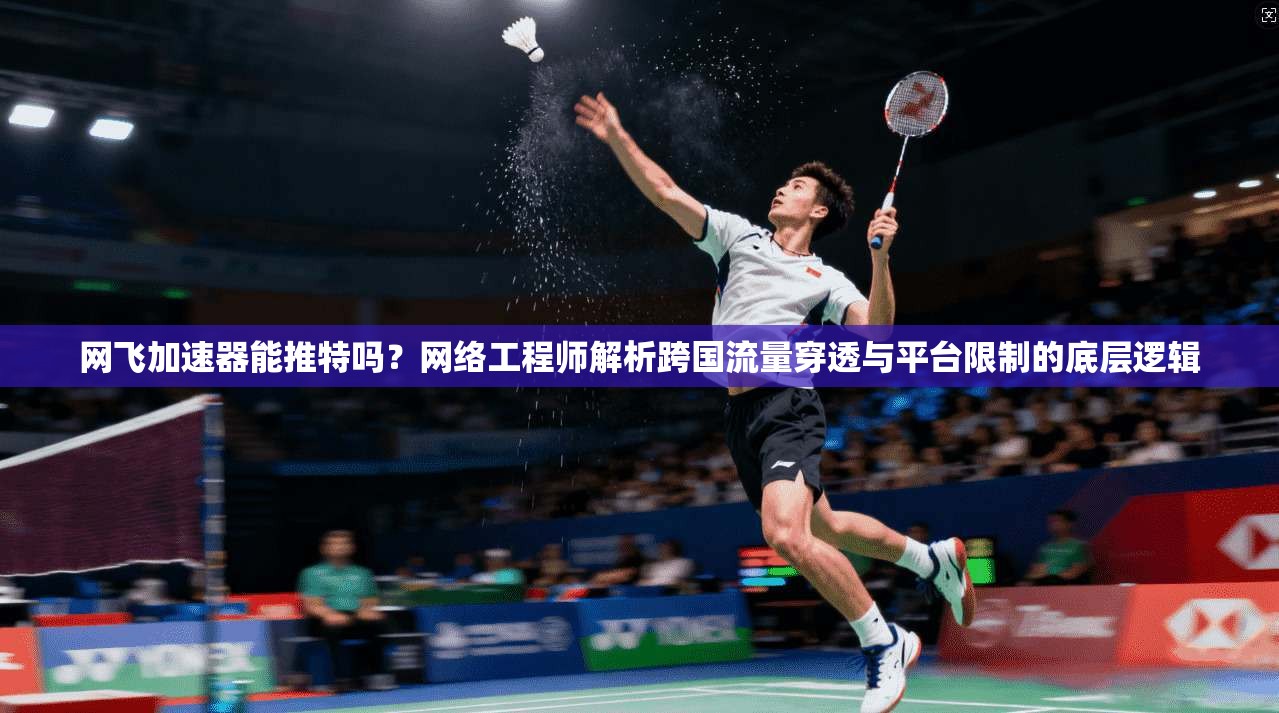 网飞加速器能推特吗？网络工程师解析跨国流量穿透与平台限制的底层逻辑