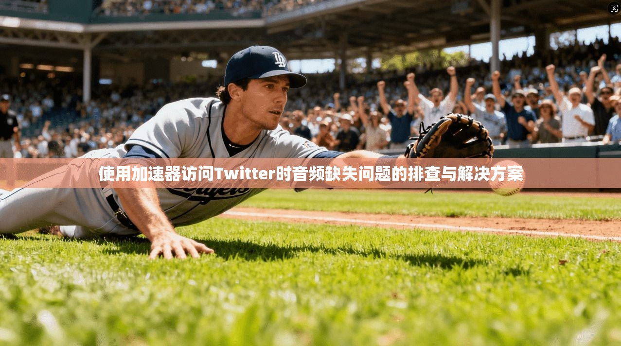 使用加速器访问Twitter时音频缺失问题的排查与解决方案