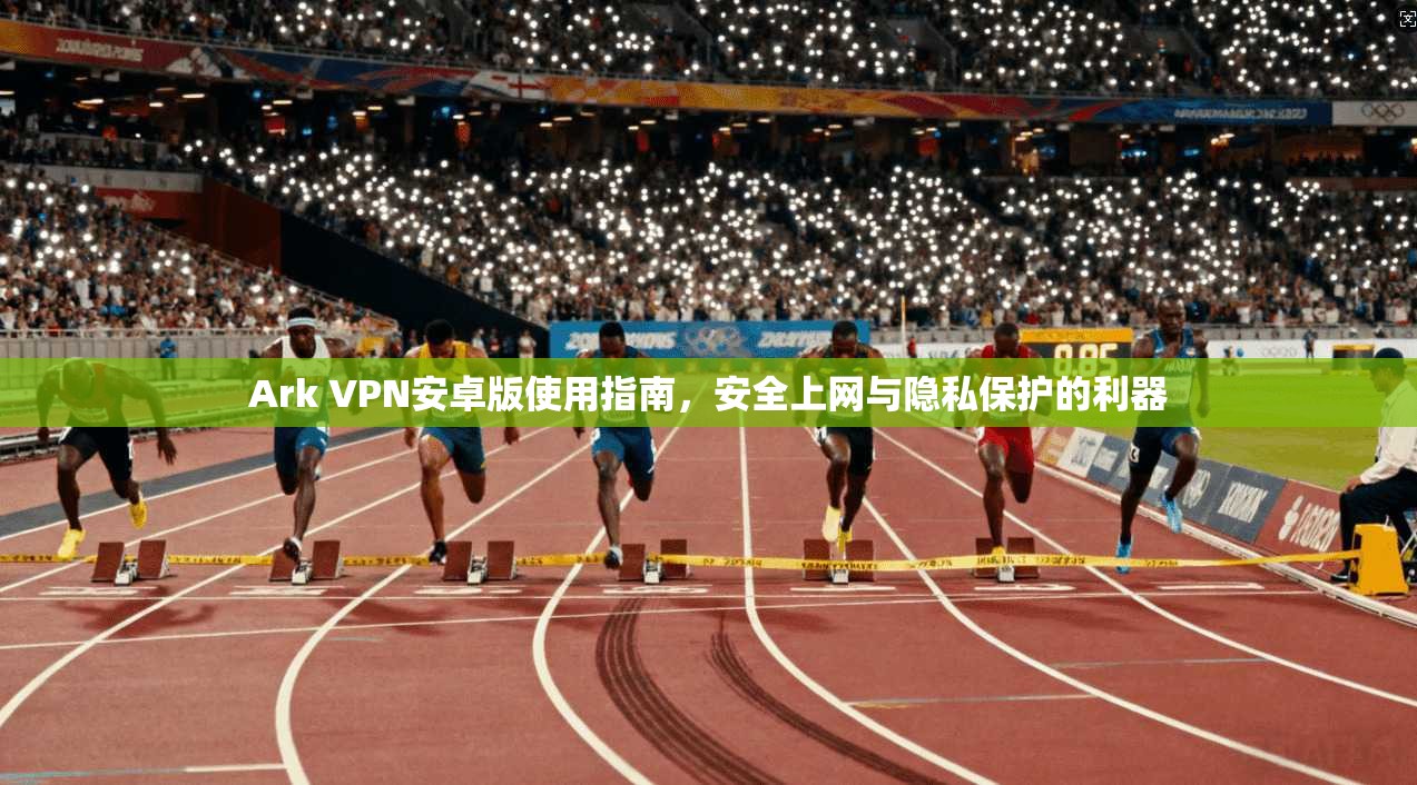 Ark VPN安卓版使用指南，安全上网与隐私保护的利器