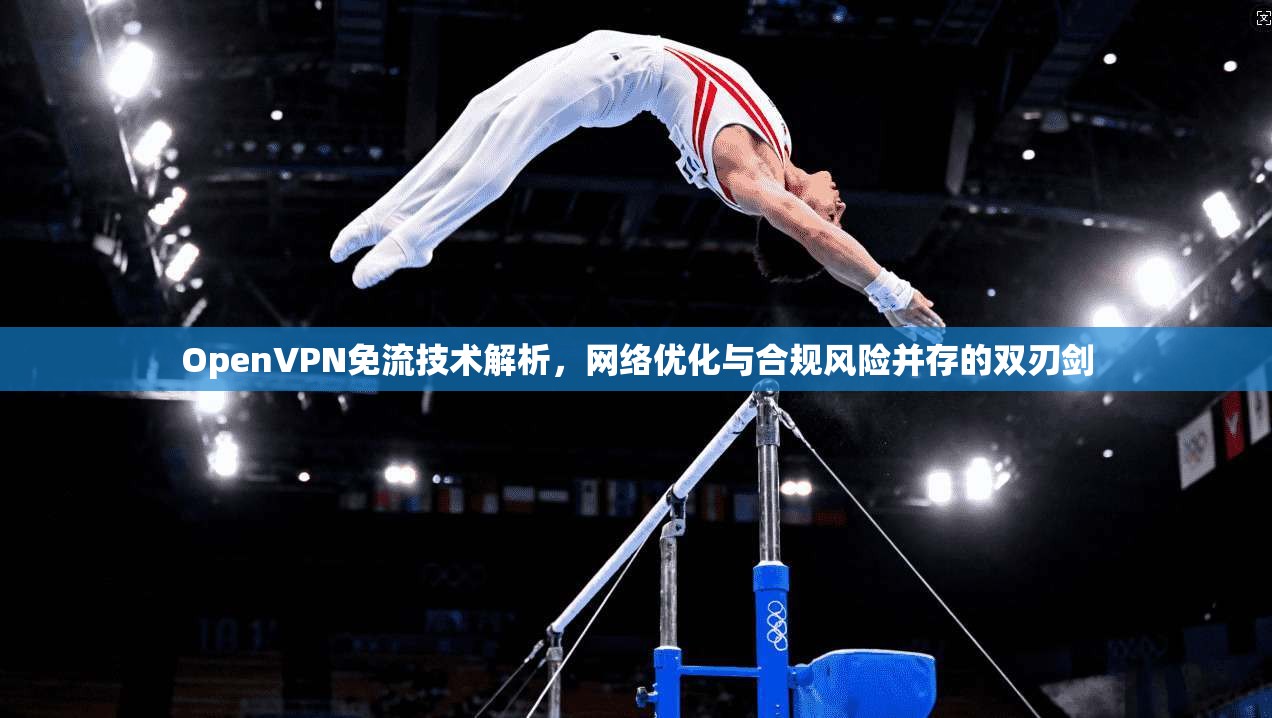 OpenVPN免流技术解析，网络优化与合规风险并存的双刃剑
