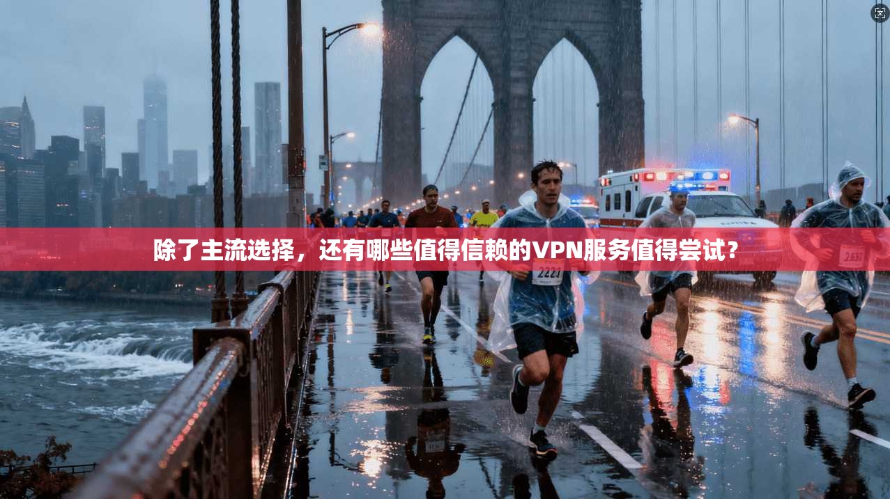 除了主流选择，还有哪些值得信赖的VPN服务值得尝试？