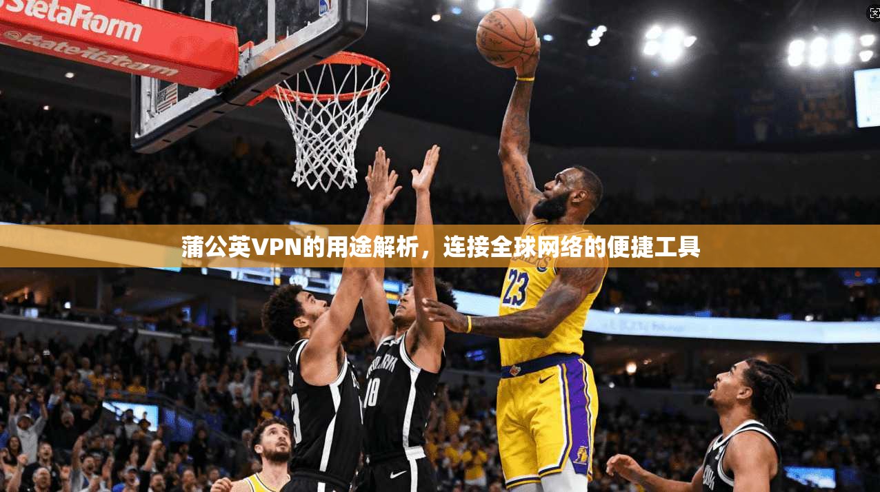 蒲公英VPN的用途解析，连接全球网络的便捷工具