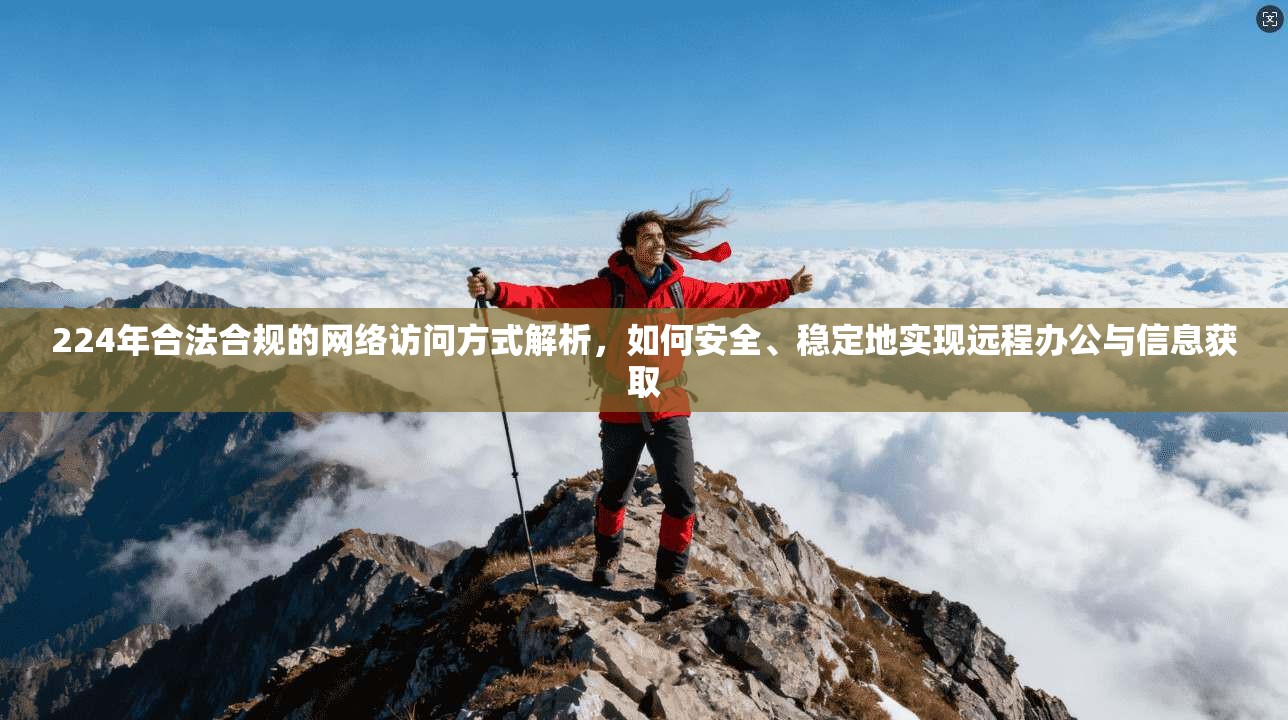 224年合法合规的网络访问方式解析，如何安全、稳定地实现远程办公与信息获取