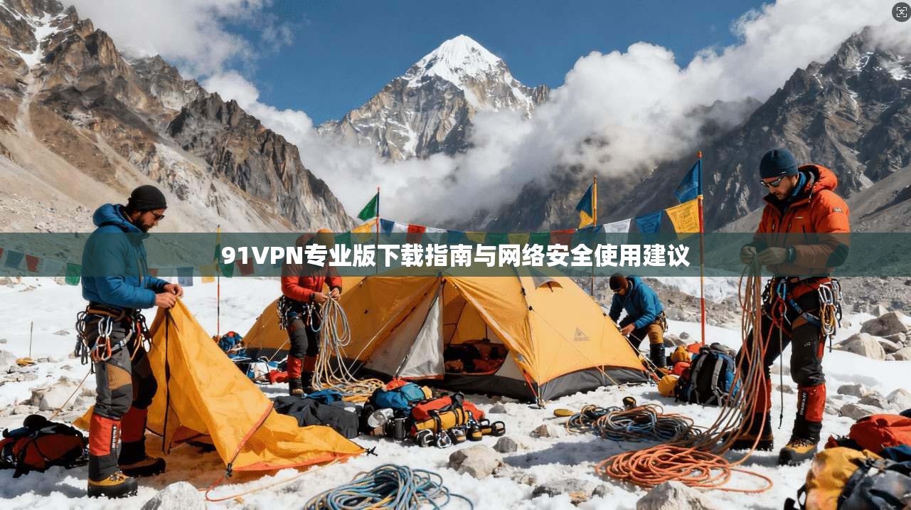 91VPN专业版下载指南与网络安全使用建议