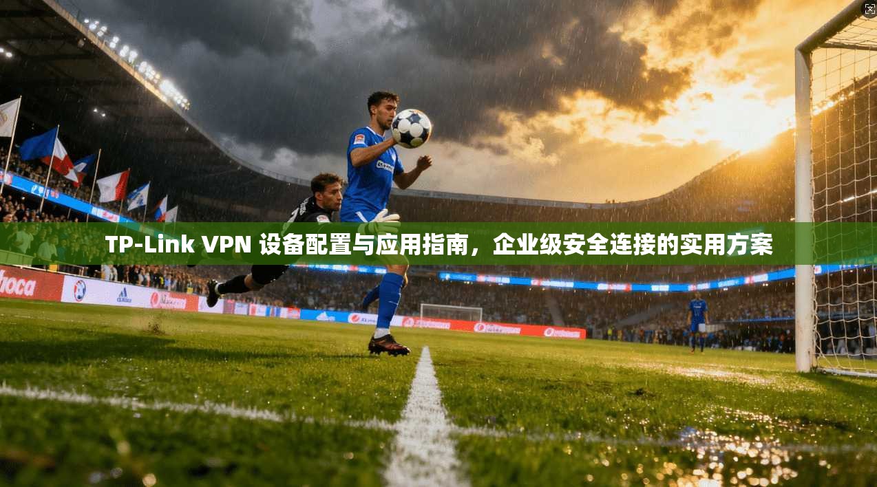 TP-Link VPN 设备配置与应用指南，企业级安全连接的实用方案
