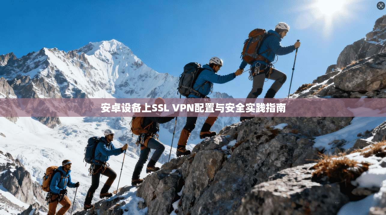 安卓设备上SSL VPN配置与安全实践指南