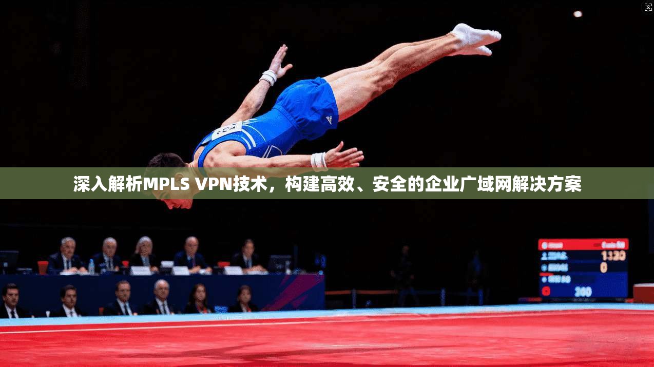 深入解析MPLS VPN技术，构建高效、安全的企业广域网解决方案