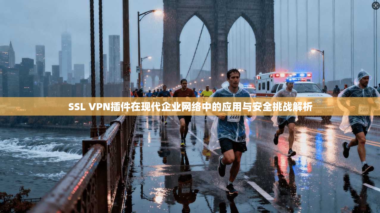 SSL VPN插件在现代企业网络中的应用与安全挑战解析
