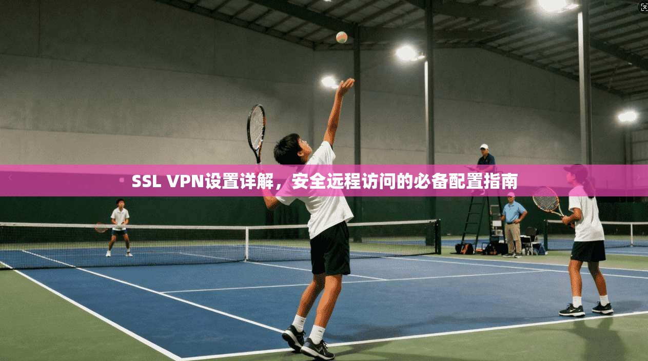 SSL VPN设置详解，安全远程访问的必备配置指南