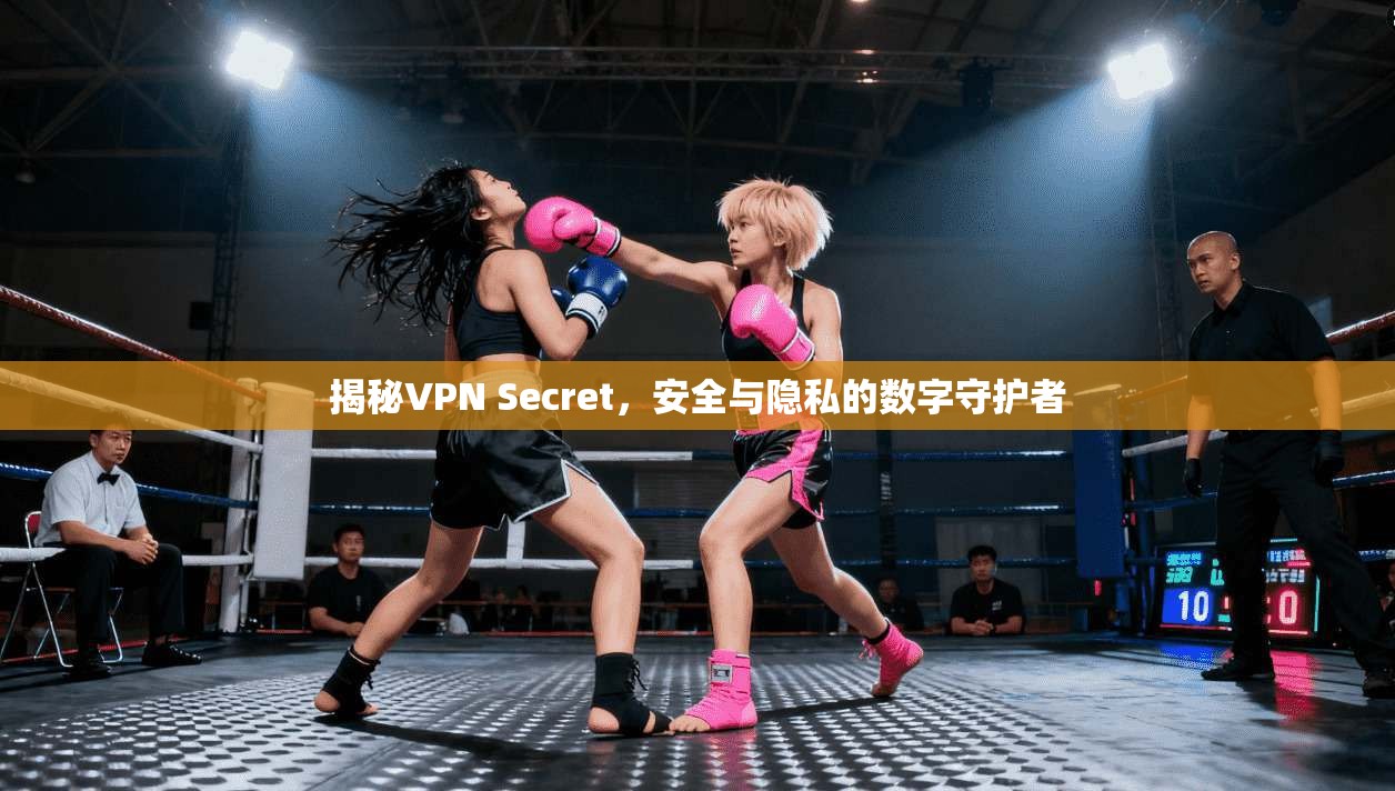 揭秘VPN Secret，安全与隐私的数字守护者