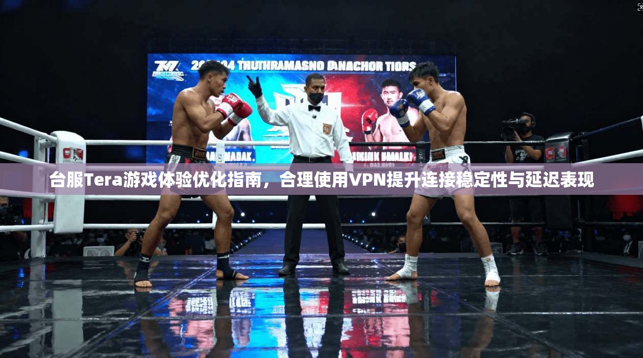 台服Tera游戏体验优化指南，合理使用VPN提升连接稳定性与延迟表现