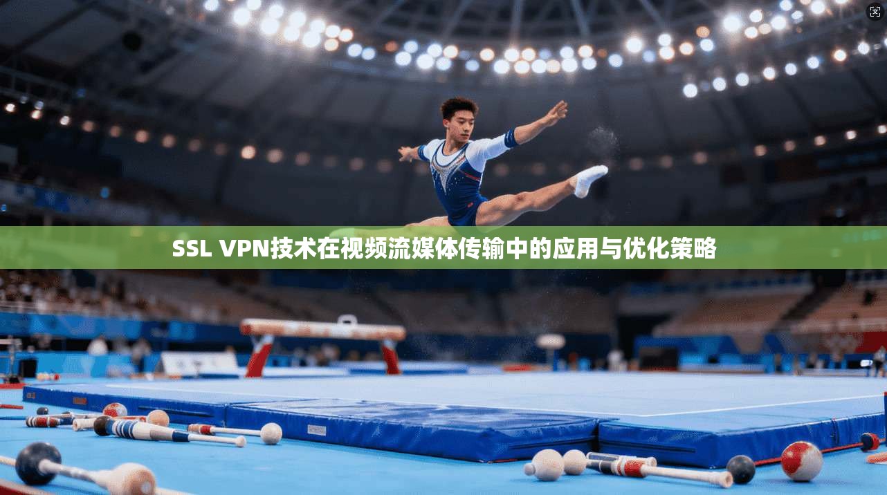 SSL VPN技术在视频流媒体传输中的应用与优化策略