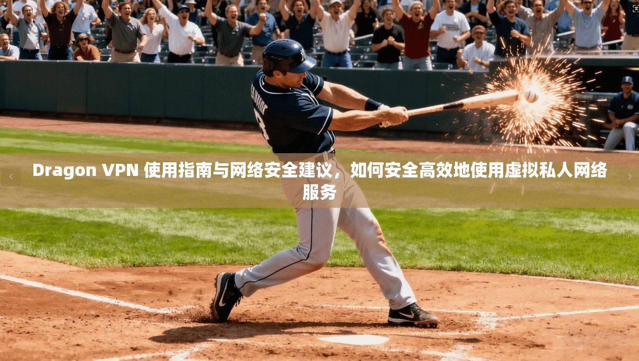 Dragon VPN 使用指南与网络安全建议，如何安全高效地使用虚拟私人网络服务