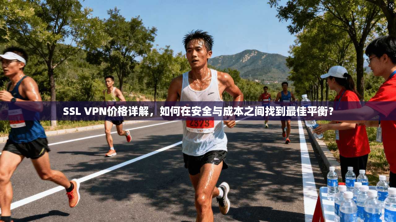 SSL VPN价格详解，如何在安全与成本之间找到最佳平衡？
