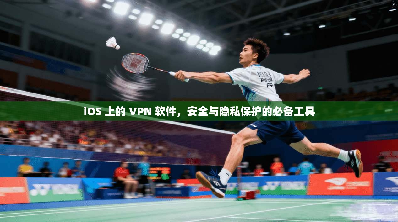 iOS 上的 VPN 软件，安全与隐私保护的必备工具