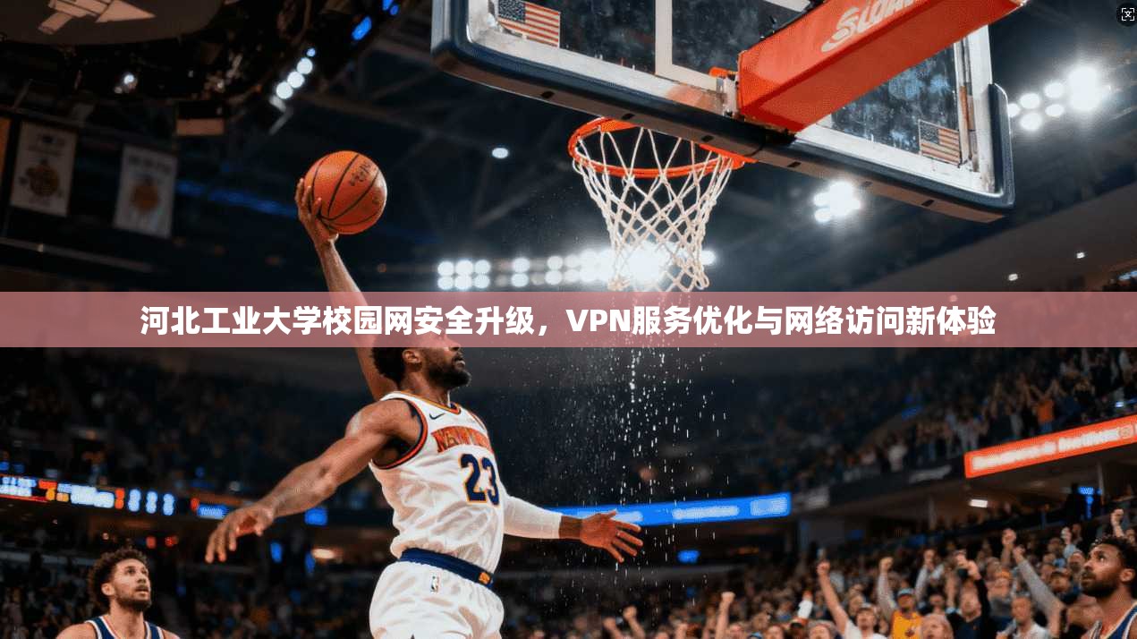 河北工业大学校园网安全升级，VPN服务优化与网络访问新体验