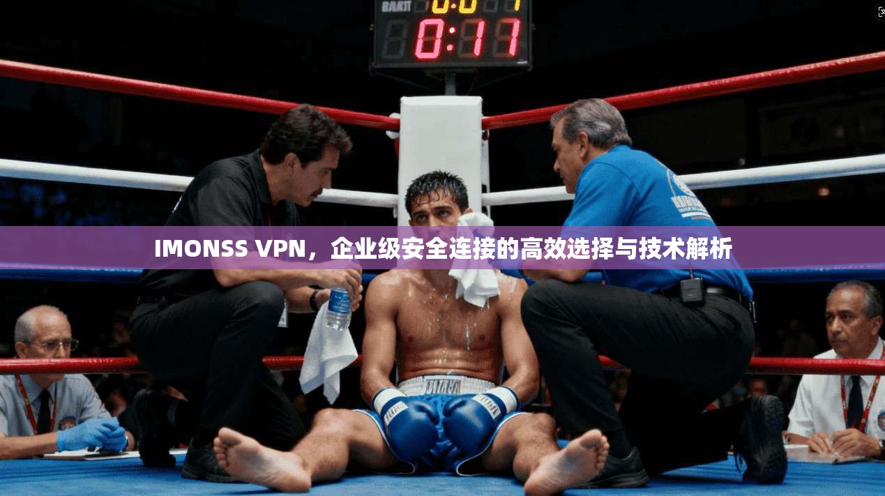 IMONSS VPN，企业级安全连接的高效选择与技术解析