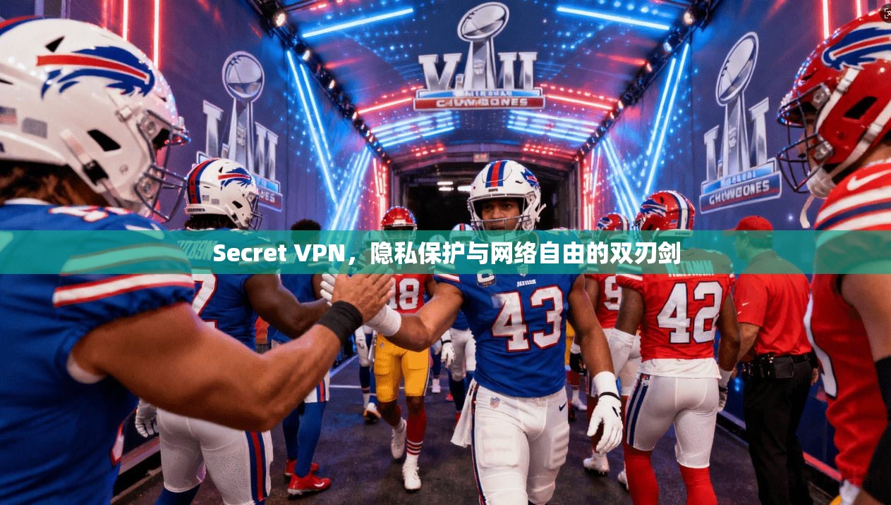 Secret VPN，隐私保护与网络自由的双刃剑