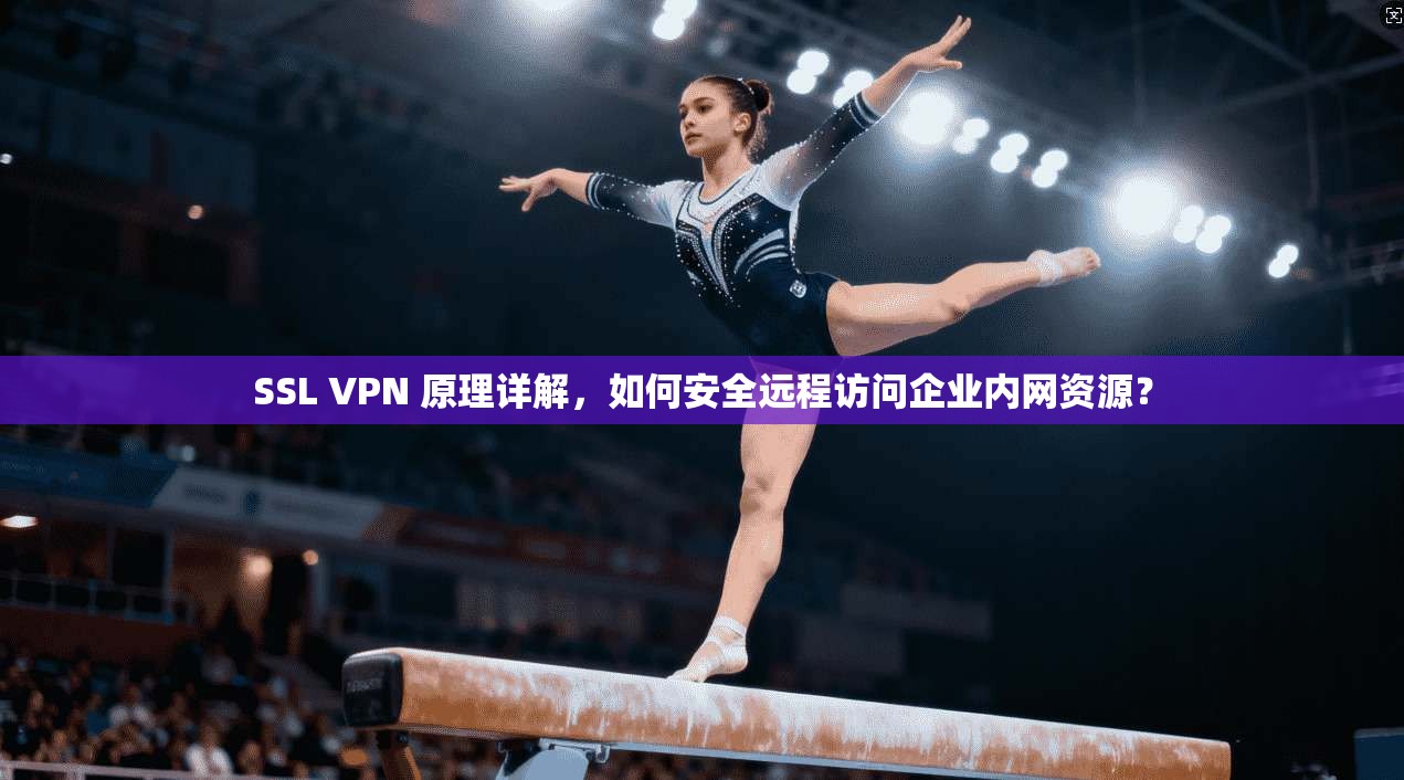 SSL VPN 原理详解，如何安全远程访问企业内网资源？
