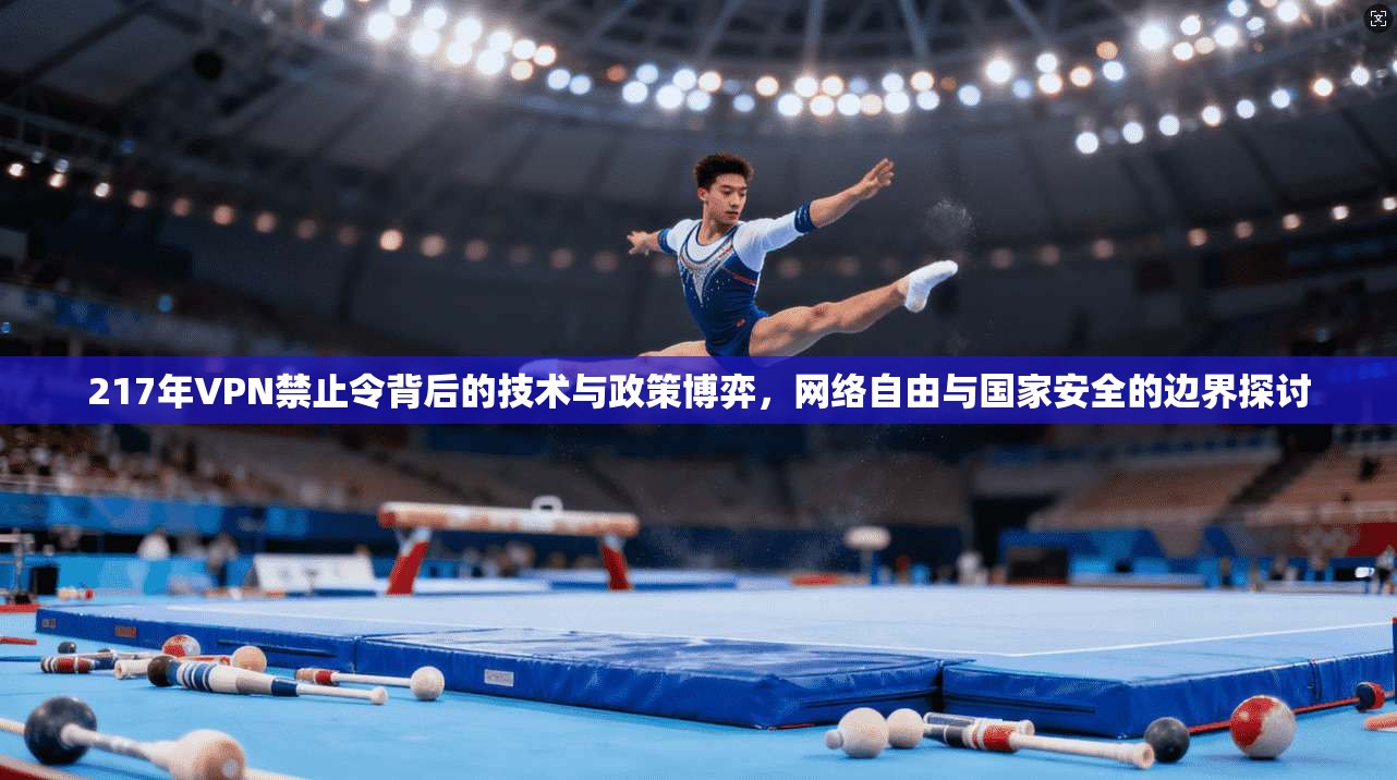 217年VPN禁止令背后的技术与政策博弈，网络自由与国家安全的边界探讨