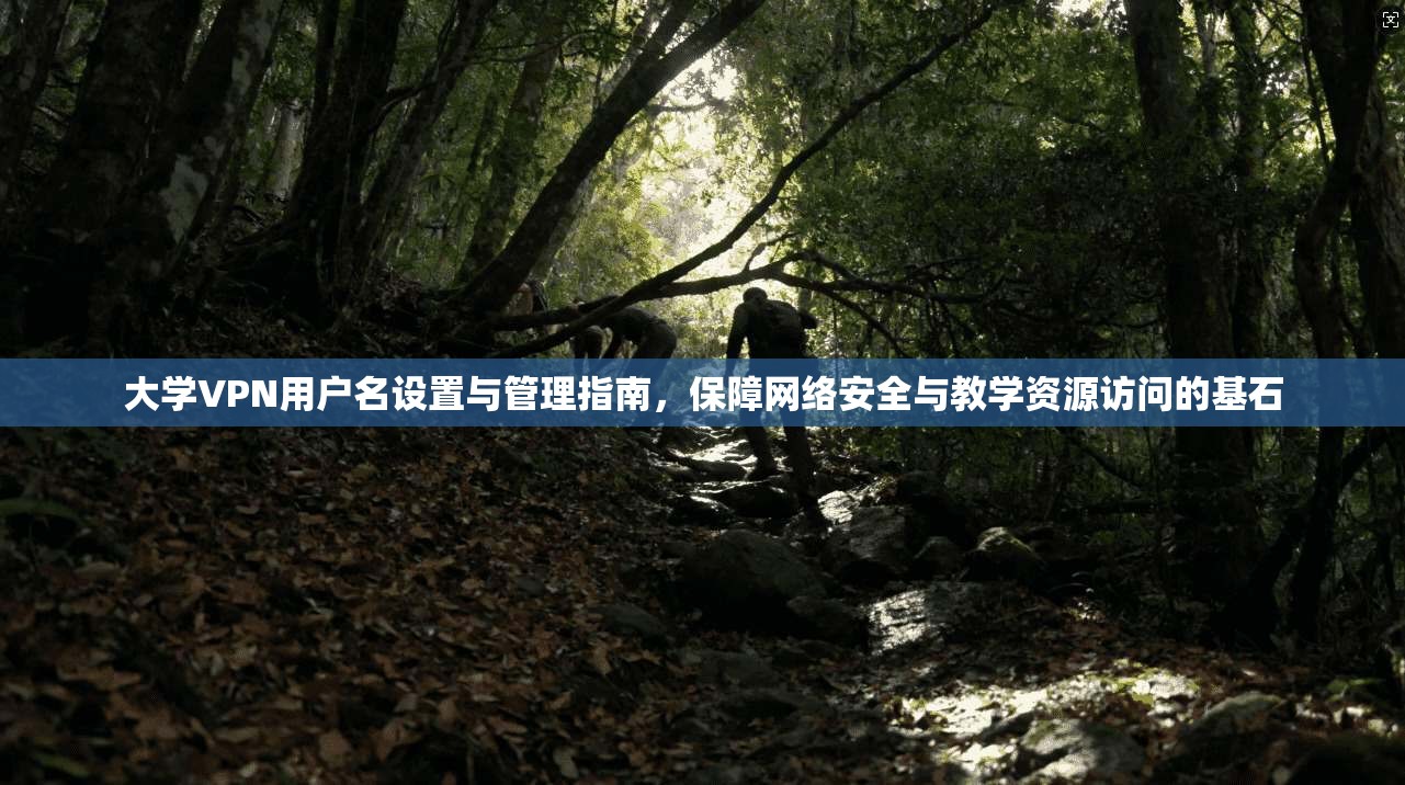 大学VPN用户名设置与管理指南，保障网络安全与教学资源访问的基石