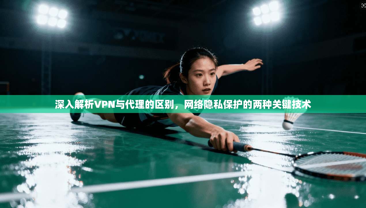 深入解析VPN与代理的区别，网络隐私保护的两种关键技术