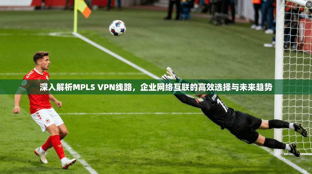 深入解析MPLS VPN线路，企业网络互联的高效选择与未来趋势
