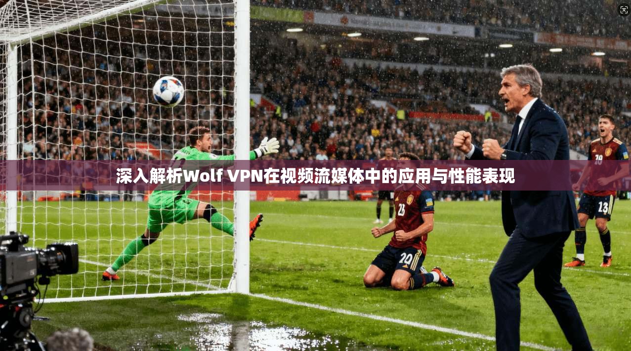 深入解析Wolf VPN在视频流媒体中的应用与性能表现